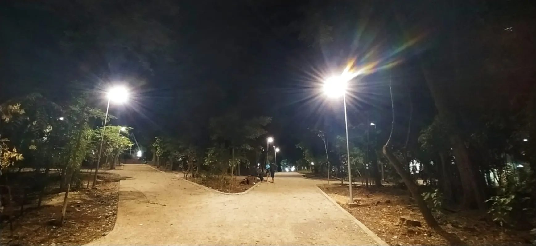 Imagem ilustrativa da imagem Testes de luz são feitos no Bosque Central de Londrina