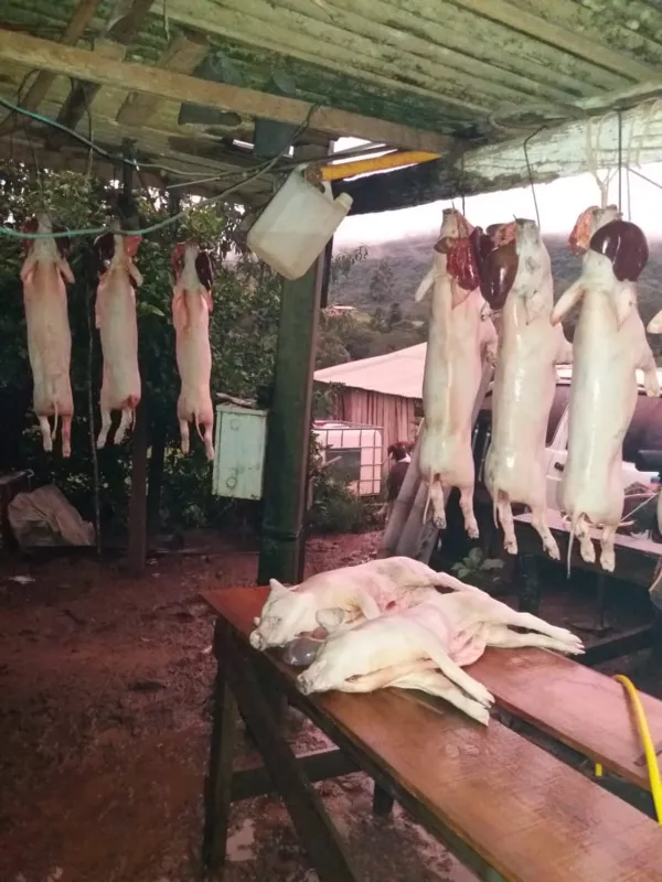 Imagem ilustrativa da imagem Transferência de renda incentiva a produção de agricultores familiares