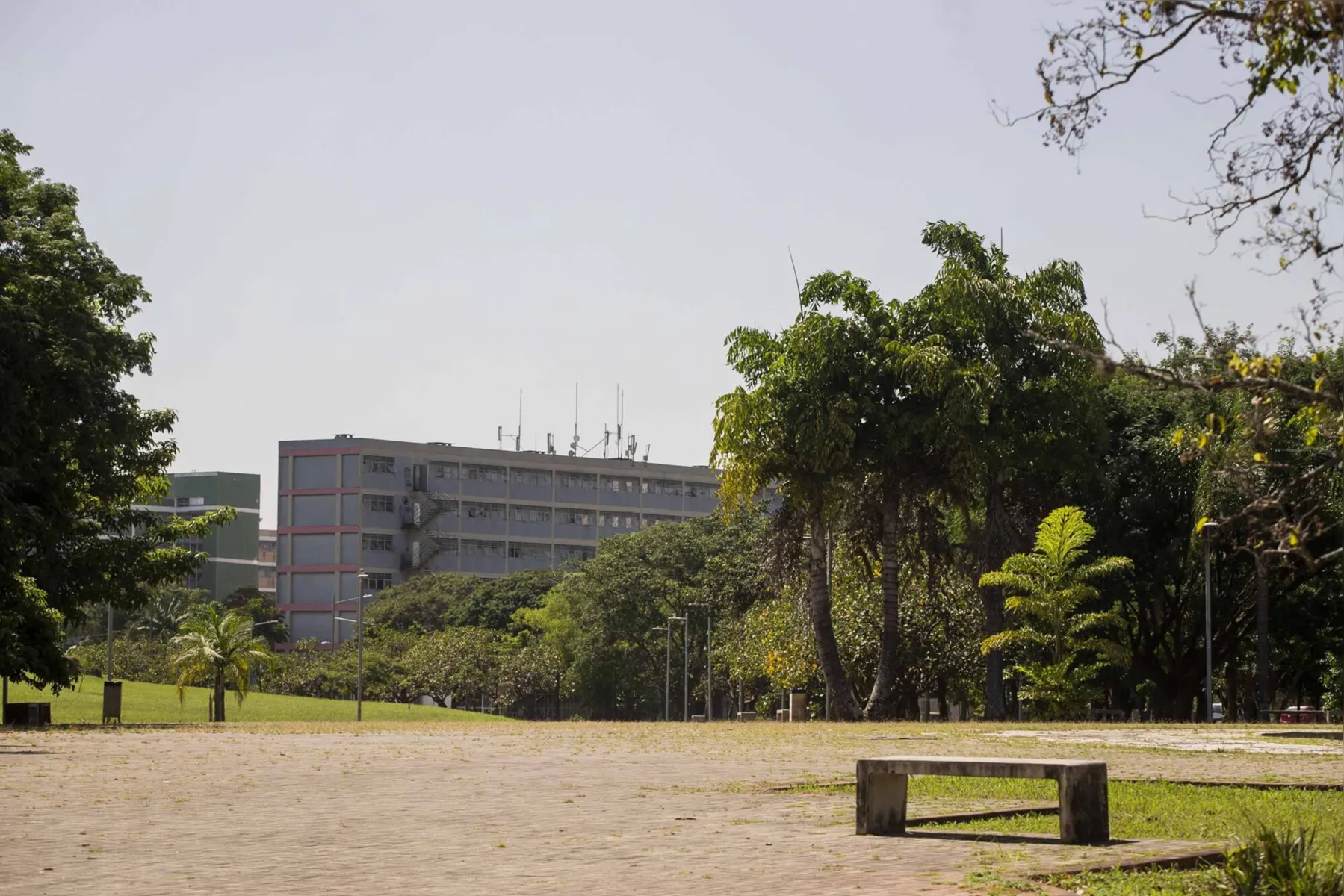 Praça do Relógio, em São Paulo: paisagista diz que os jardins urbanos precisam ter árvores