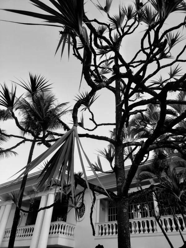 Imagem ilustrativa da imagem # A CIDADE FALA - Higienópolis