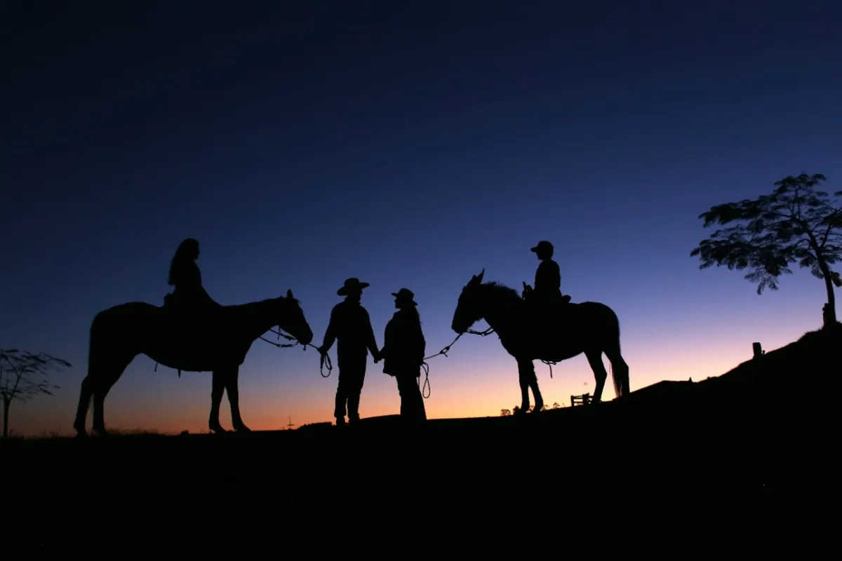 Imagem ilustrativa da imagem #A CIDADE FALA - Cenário rural