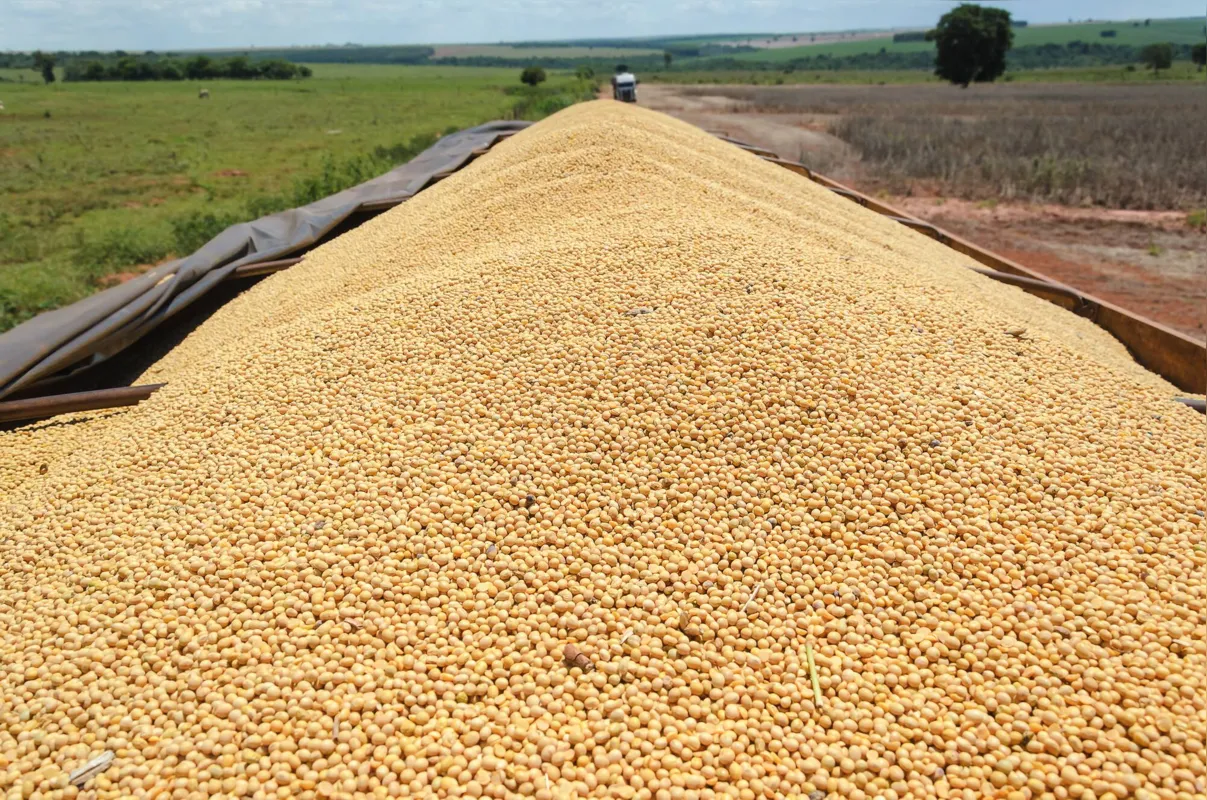 Exportações de soja por produtores do Paraná superaram os US$ 6 bilhões no ano passado