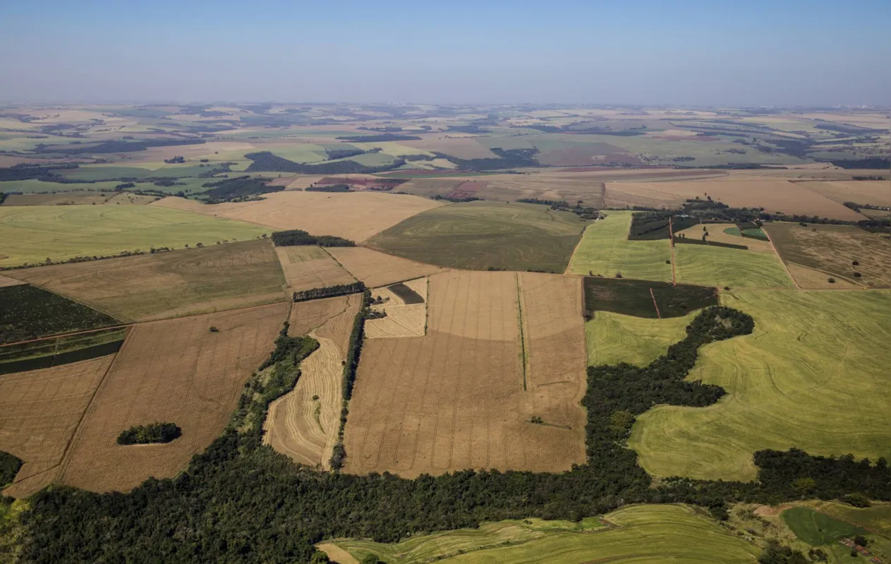 Imagem ilustrativa da imagem Com produção valorizada, preço de terras agrícolas sobe 50% no Paraná