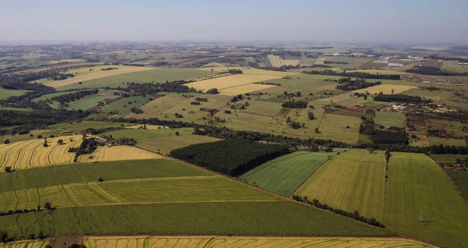 Imagem ilustrativa da imagem Com produção valorizada, preço de terras agrícolas sobe 50% no Paraná