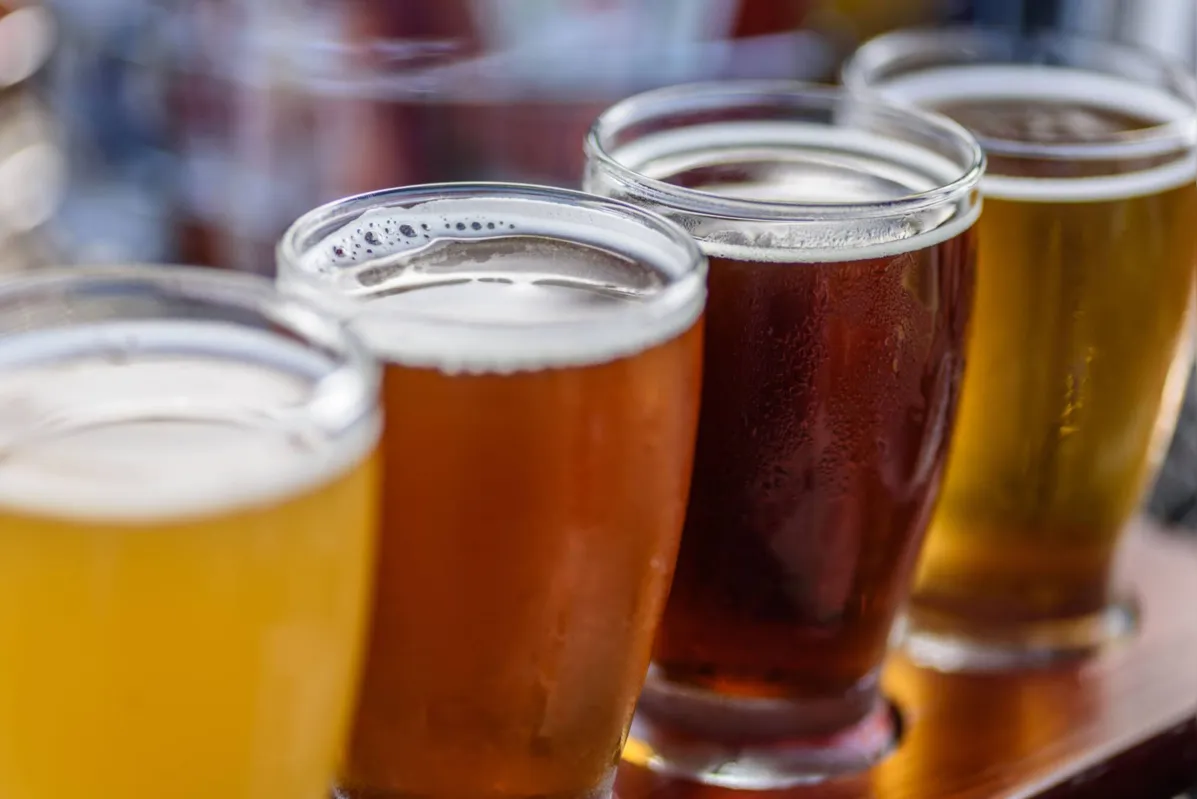 Além dos produtores de cerveja artesanal, apreciadores e entusiasta também podem se cadastrar na plataforma