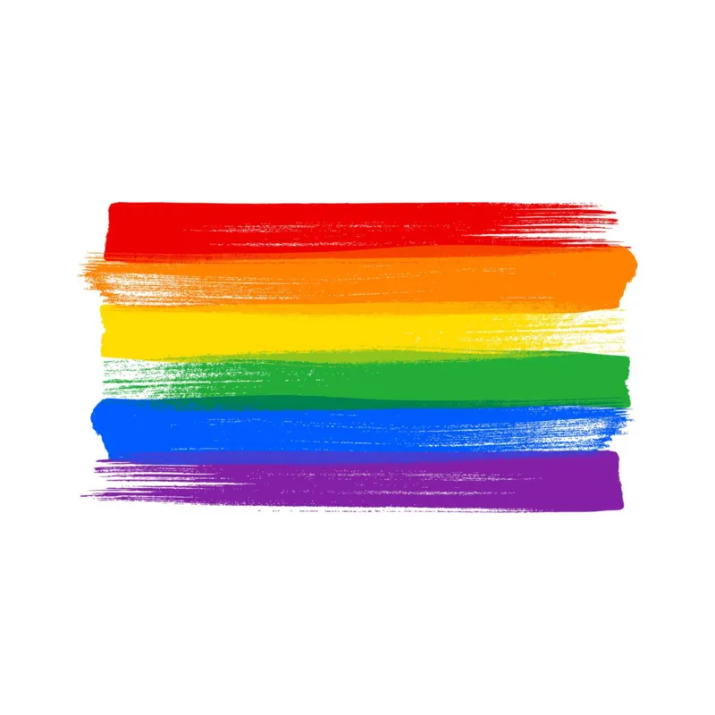 Imagem ilustrativa da imagem DIA DO ORGULHO LGBTQIA+: Data para celebrar e recordar que a luta por igualdade não terminou