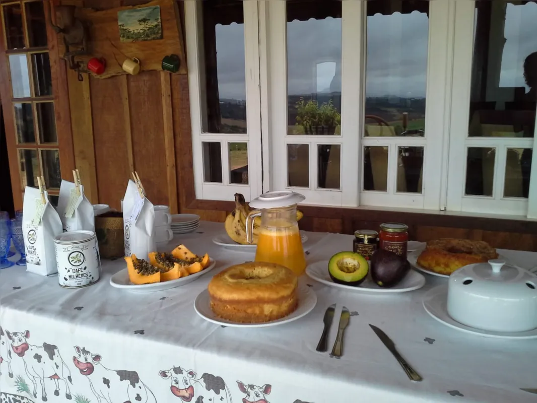 Imagem ilustrativa da imagem Da lavoura à xícara: café vira roteiro de turismo rural no Norte Pioneiro
