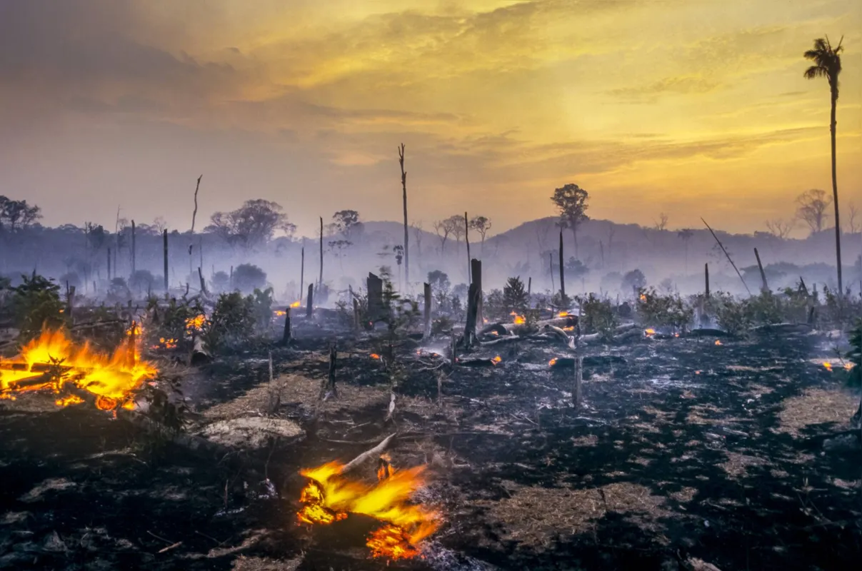 Maio foi o pior mês de avisos de desmatamento na Amazônia nos últimos anos, no período, foram emitidos alertas em uma área correspondente a 1.391 km²