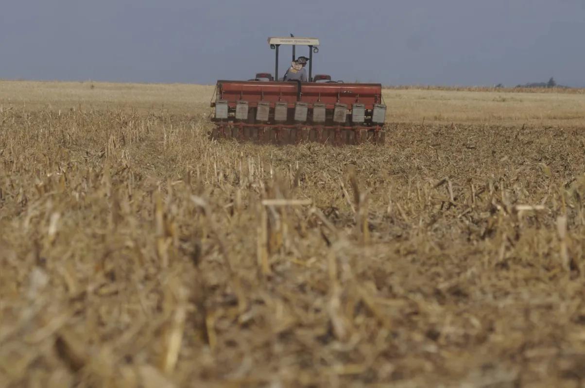 A produção de soja deve aumentar 9,4% na próxima safra estima o Ipea
