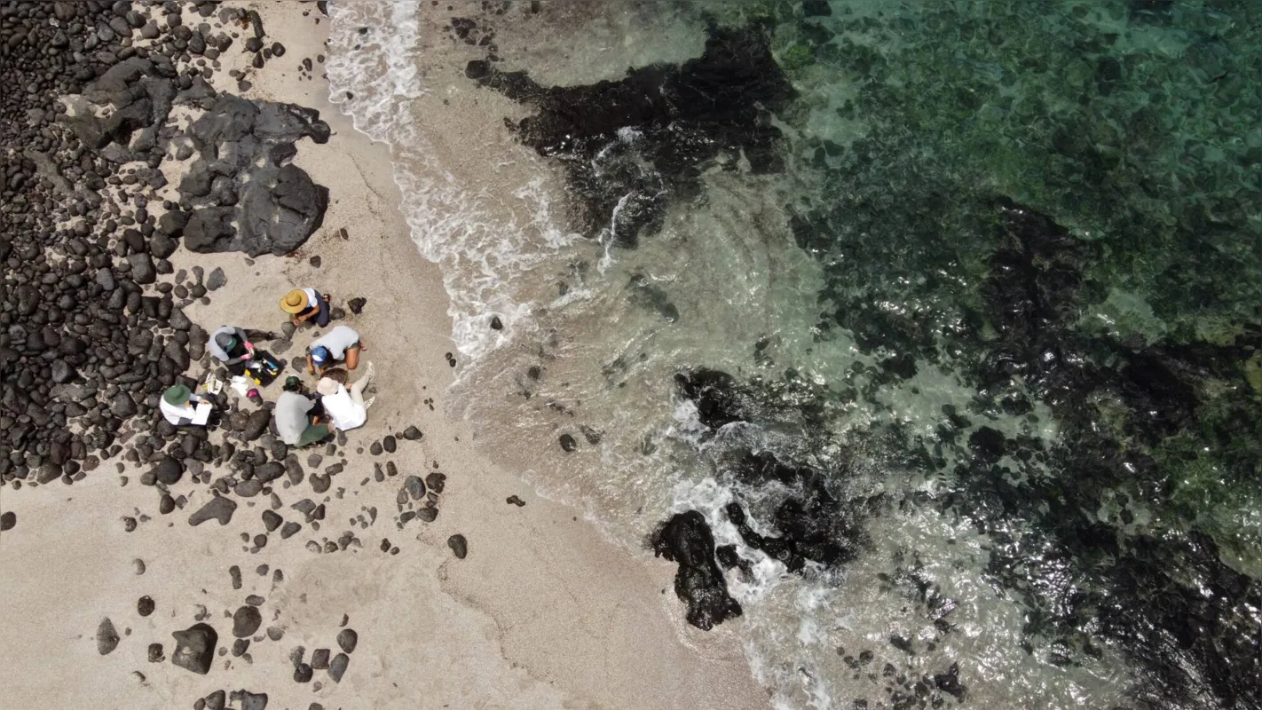 Imagem ilustrativa da imagem Laboratório a céu aberto: Galápagos abrigam 2,9 mil espécies marinhas