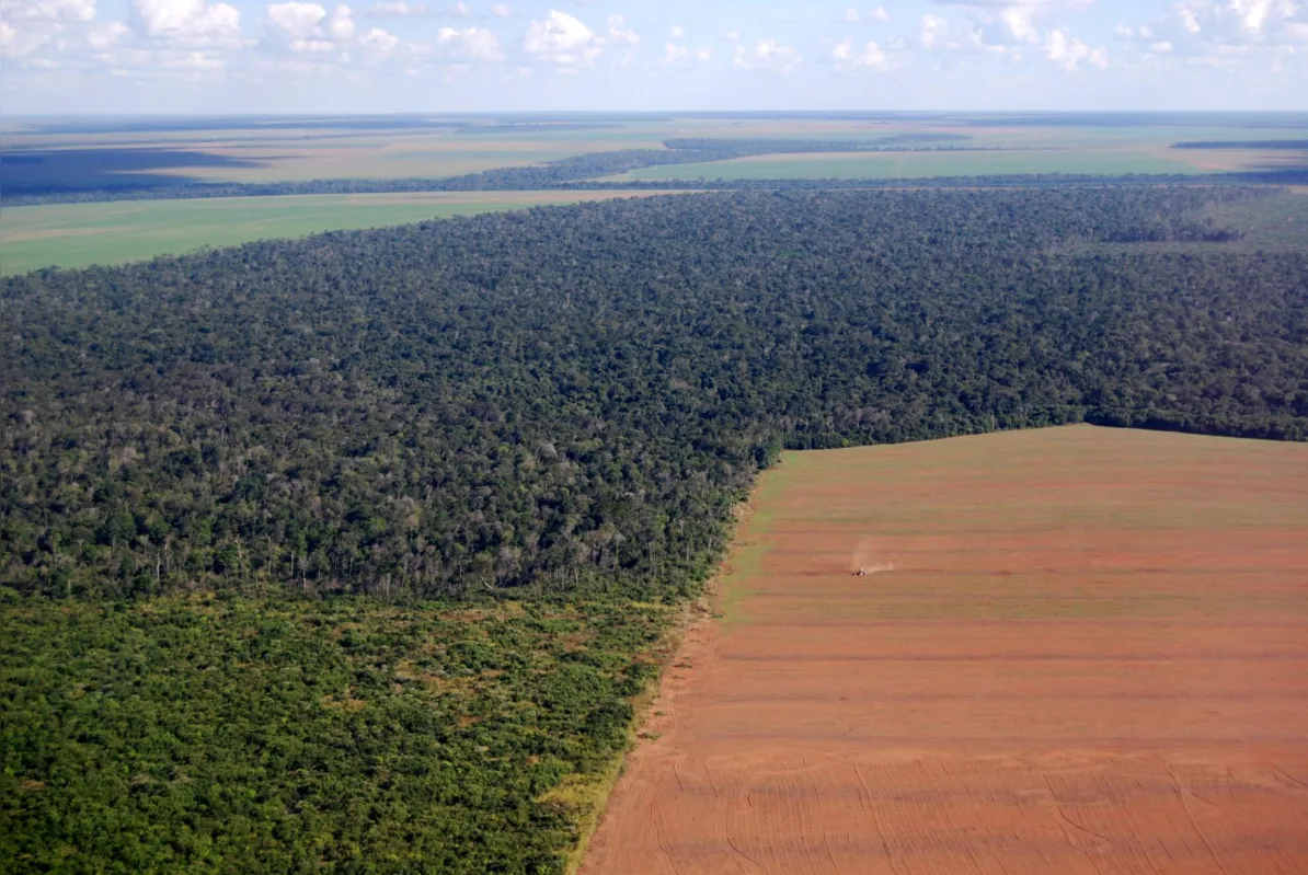 Imagem ilustrativa da imagem Licenciamento ambiental: audiências devem aquecer debate sobre nova lei