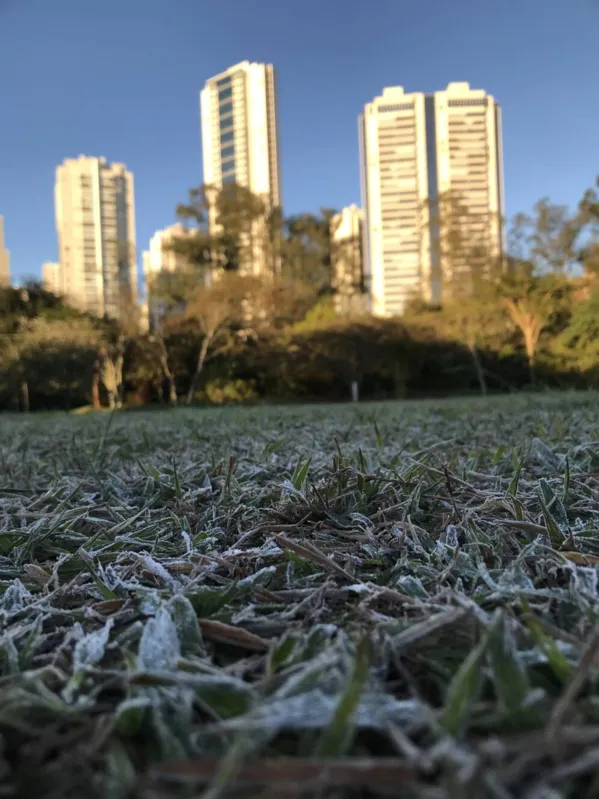 No aterro do lago Igapó, paisagem retratou a intensidade do frio