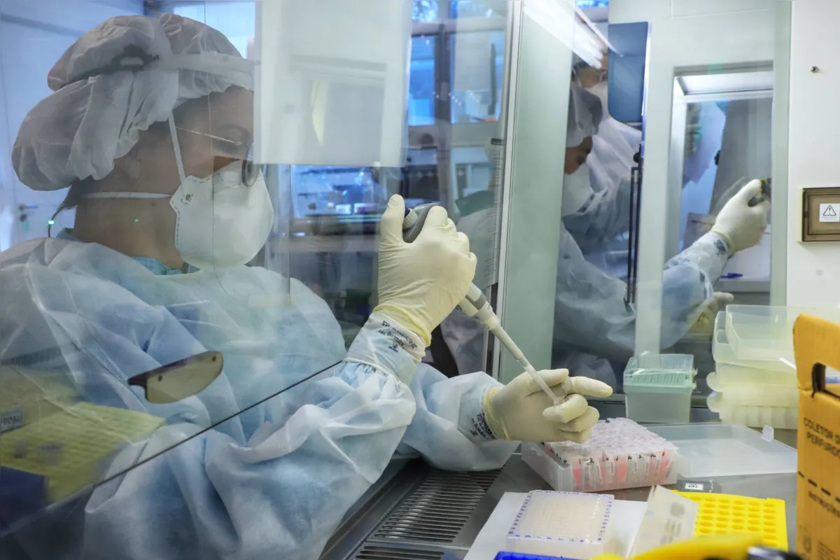 A seleção de amostras é feita de forma aleatória e cumpre critérios técnicos e epidemiológicos 