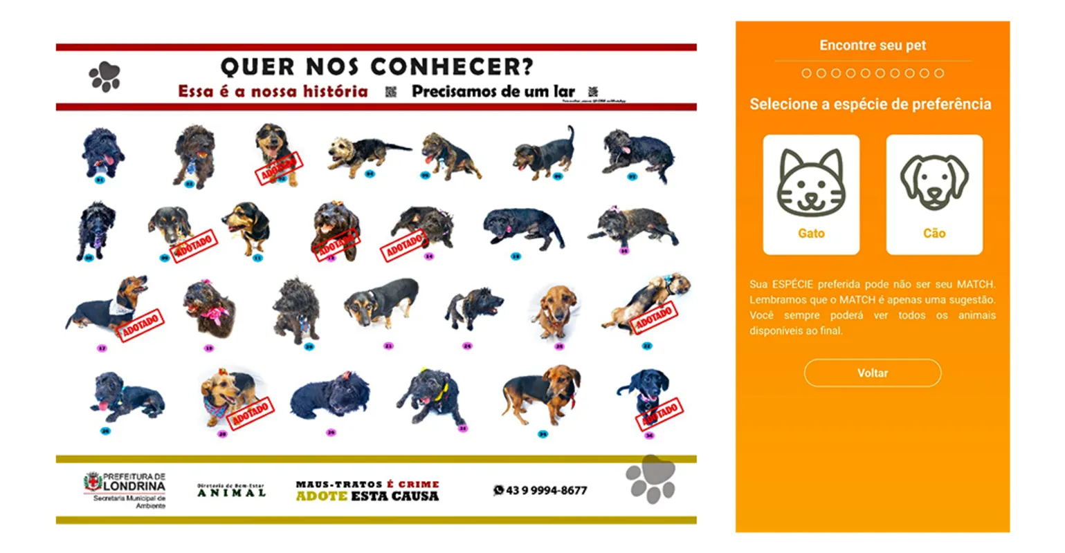 Imagem ilustrativa da imagem Quer adotar um cão em Londrina? Acesse um aplicativo