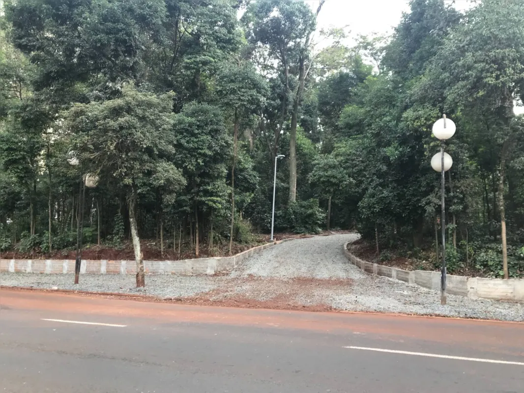 Imagem ilustrativa da imagem Revitalização do Bosque Central deve ser concluída em dois meses