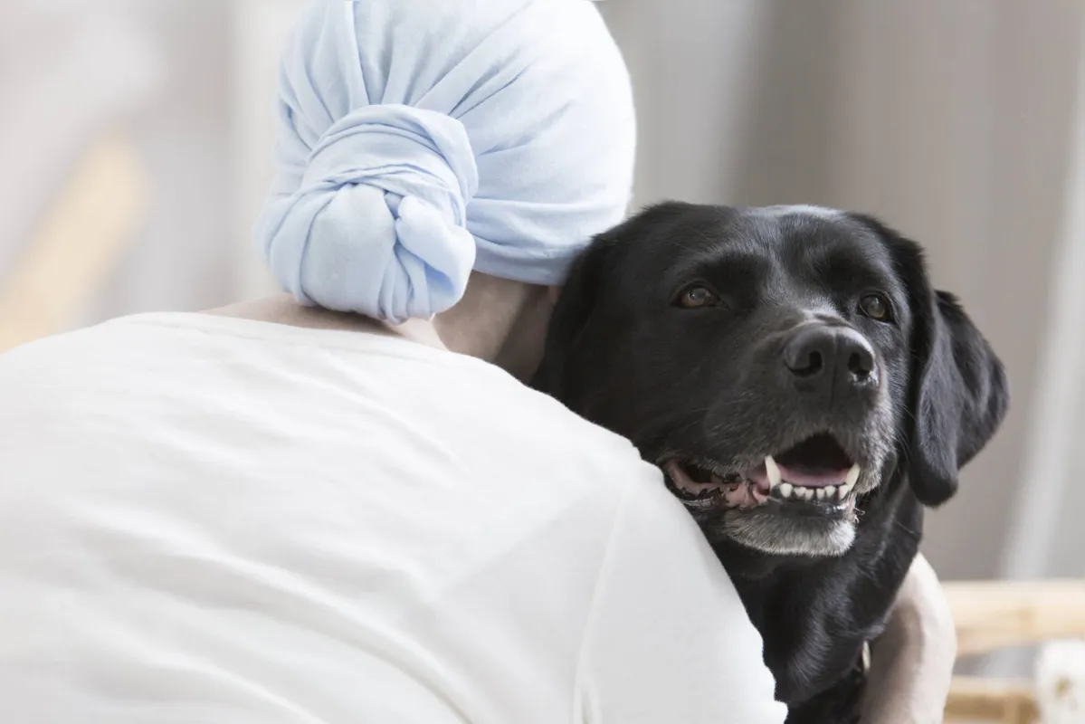 Imagem ilustrativa da imagem Saiba mais sobre a terapia assistida por cães