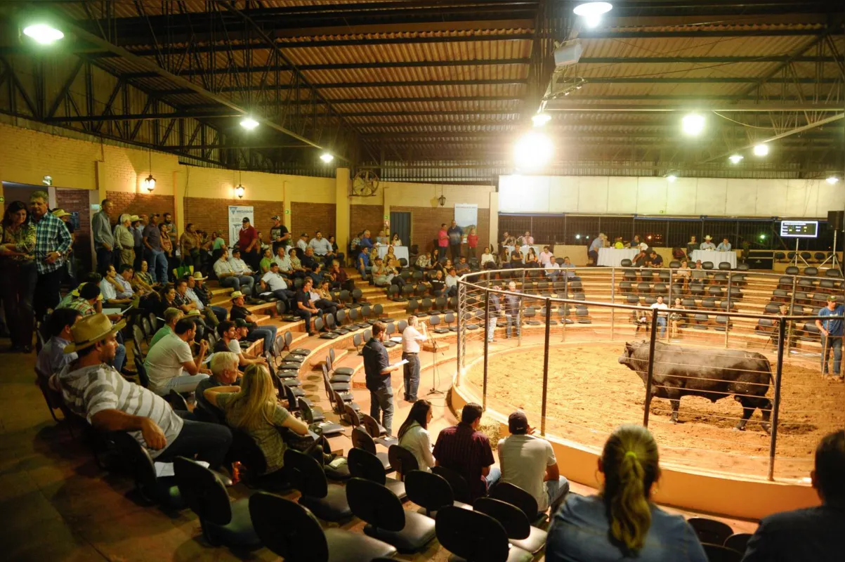 Imagem ilustrativa da imagem Sociedade Rural do Paraná transfere ExpoLondrina para 2022