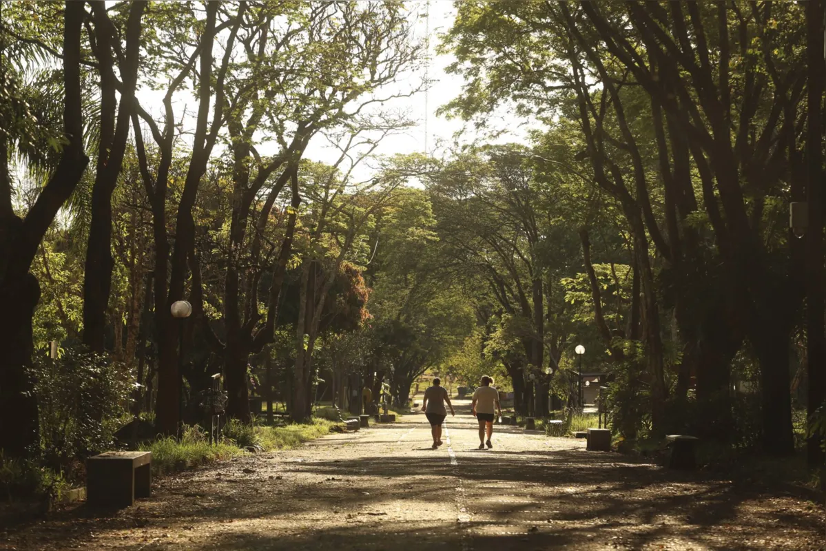 Imagem ilustrativa da imagem UEL é a 24ª melhor universidade brasileira, aponta ranking