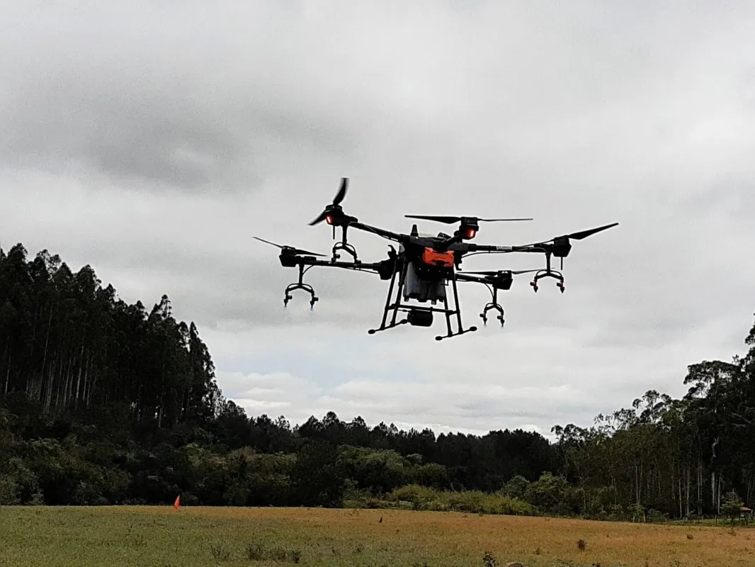 Imagem ilustrativa da imagem Uso de drones para aplicação de defensivos agrícolas apresentam resultados promissores no campo