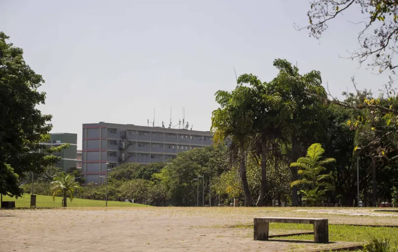 Praça do Relógio, em São Paulo: paisagista diz que os jardins urbanos precisam ter árvores