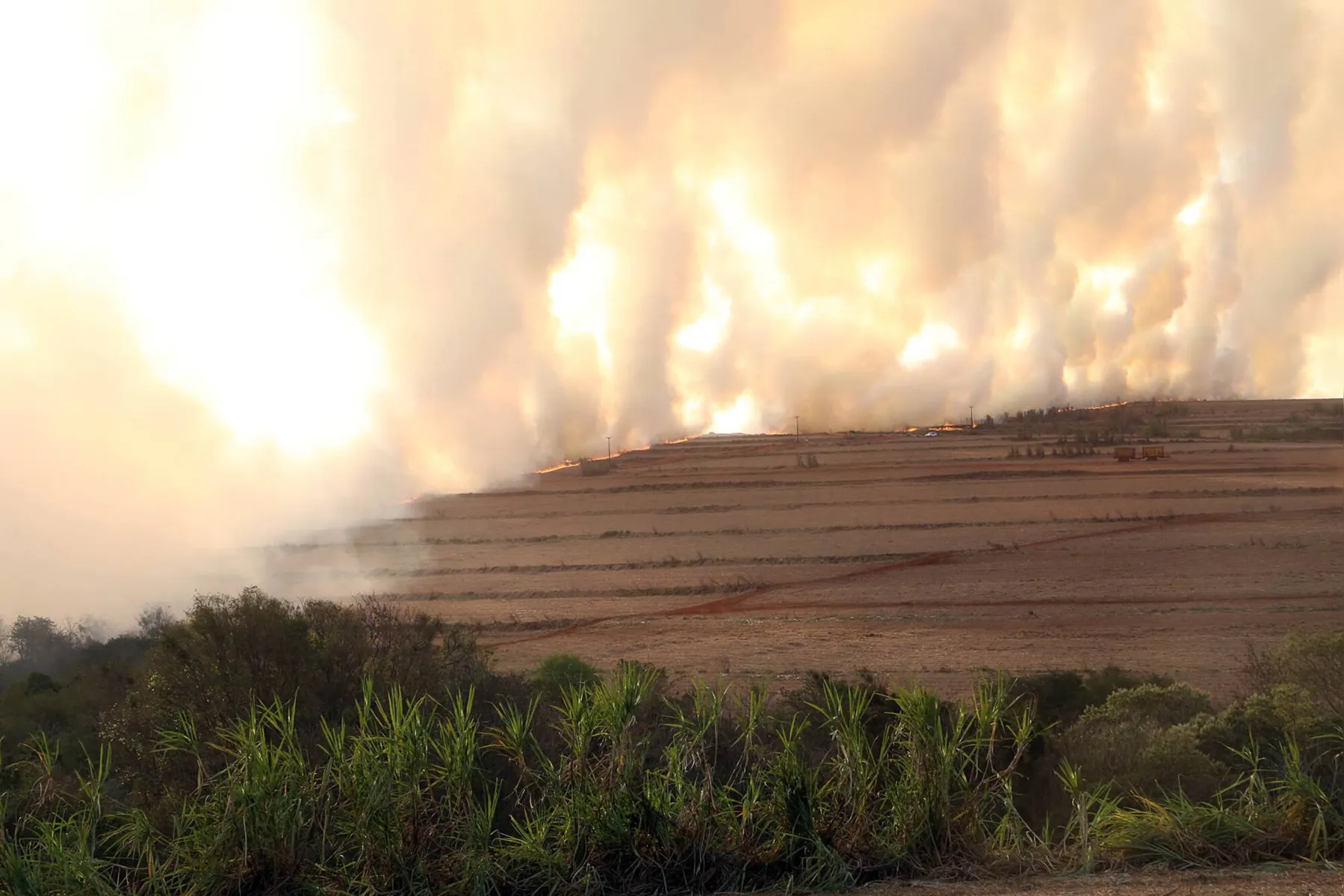 Imagem ilustrativa da imagem Bombeiros do PR registram 268 focos de incêndios florestais