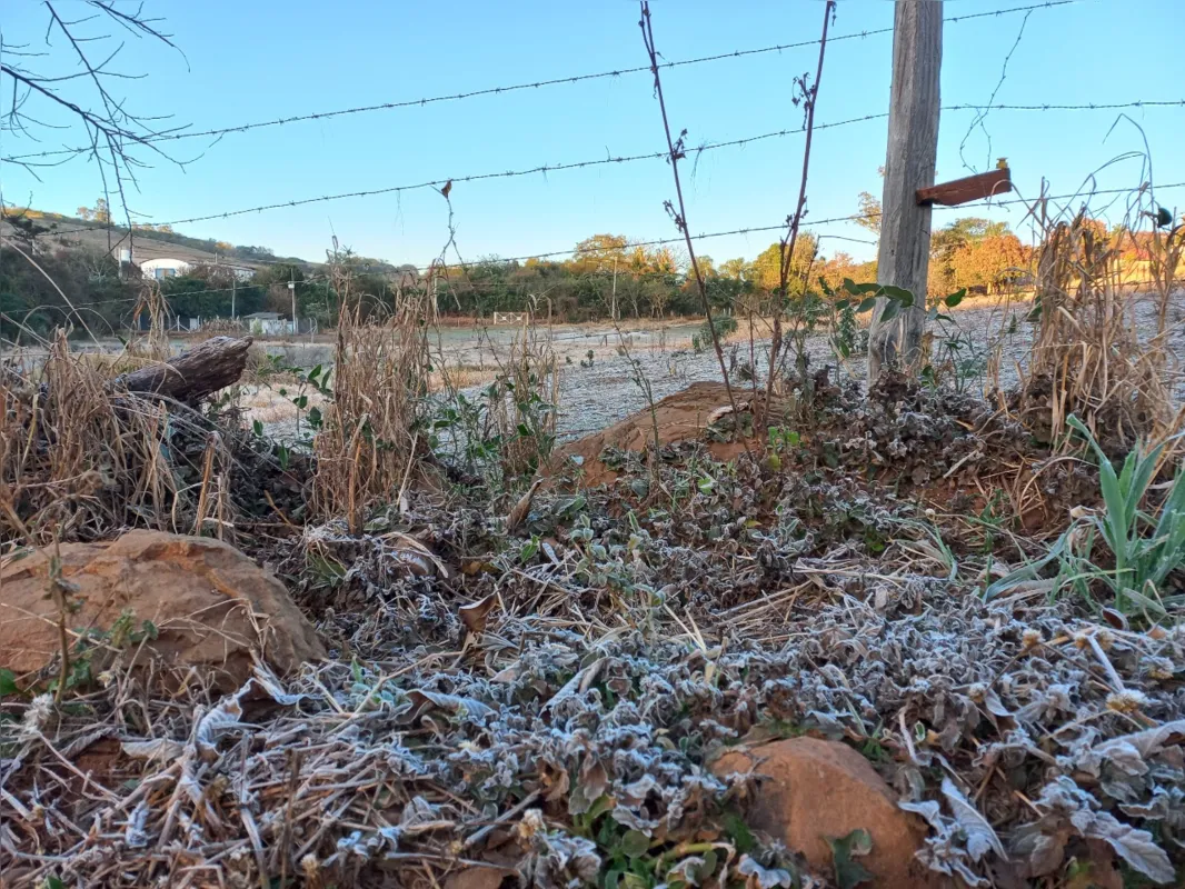 Imagem ilustrativa da imagem 26 cidades do Paraná batem recorde de frio do ano