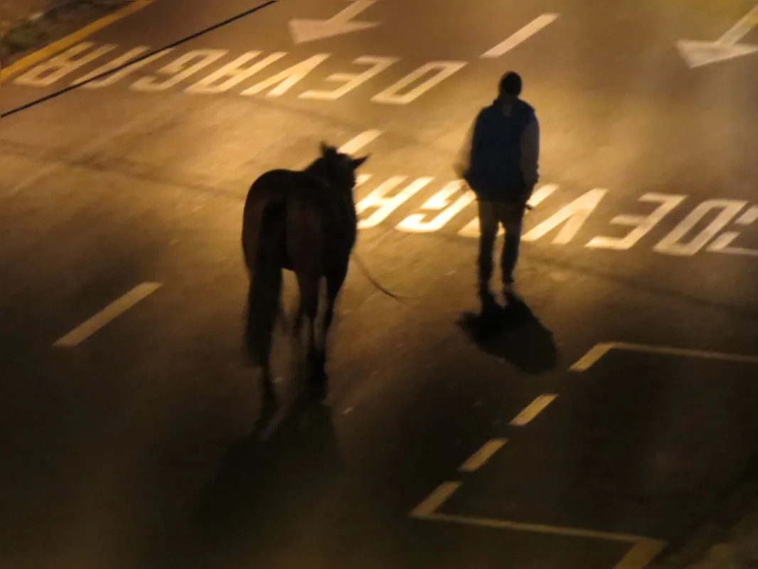 Imagem ilustrativa da imagem A CIDADE FALA| O cavaleiro e a égua