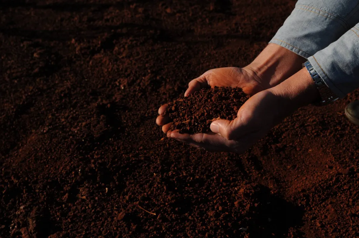 Imagem ilustrativa da imagem A força do agricultor: um terço da riqueza paranaense vem dele