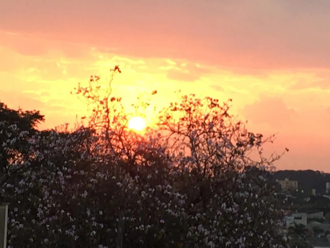 Imagem ilustrativa da imagem CIDADE FALA -  A beleza das flores se descortina no céu de Londrina