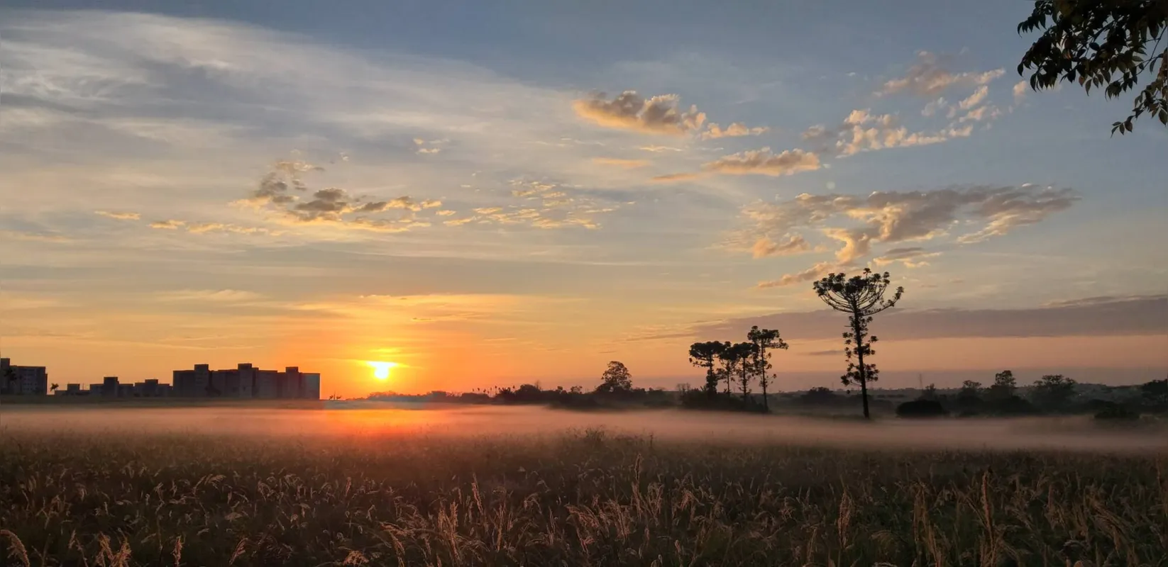 Imagem ilustrativa da imagem CIDADE FALA - Inverno de 2019