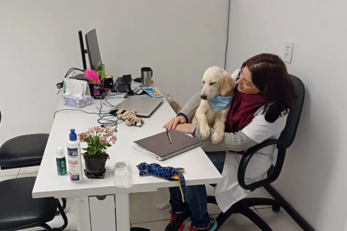 Imagem ilustrativa da imagem Cão Mike 'trabalhará' em Centro de Atenção Psicossocial de Londrina