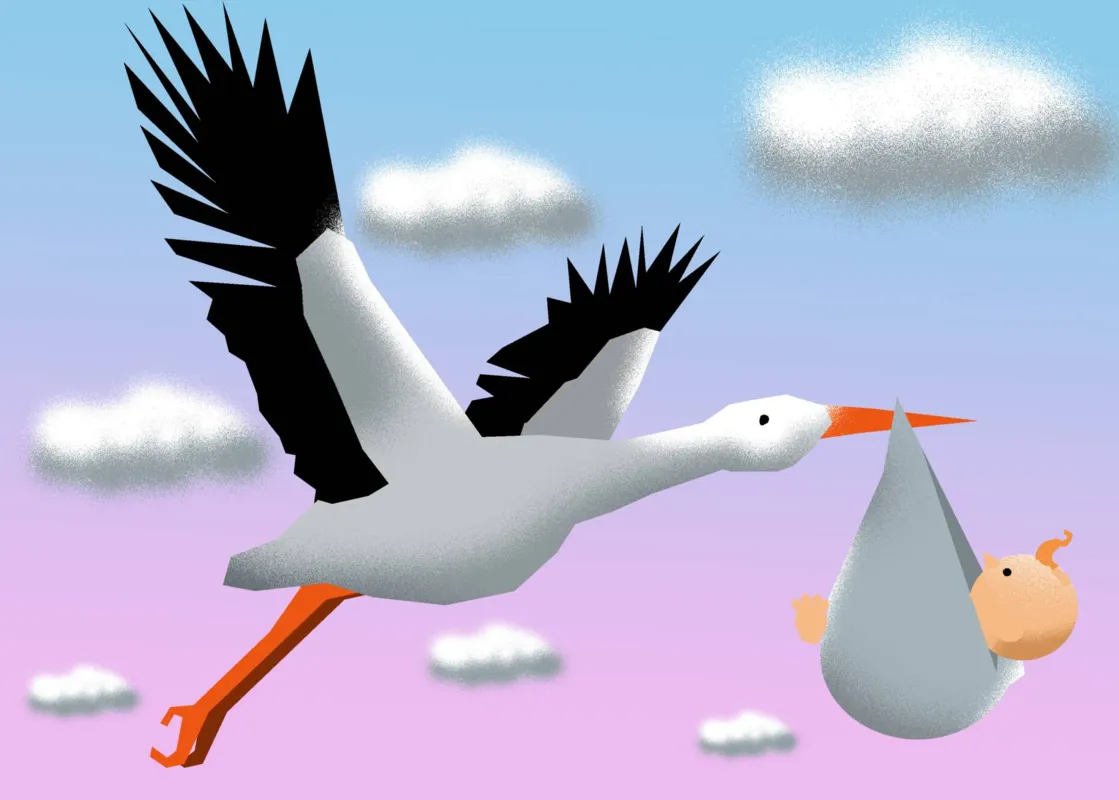 Imagem ilustrativa da imagem DEDO DE PROSA| Como nasciam os bebês