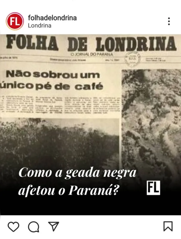 Imagem ilustrativa da imagem FOLHA NAS REDES - Esse frio eu senti na pele
