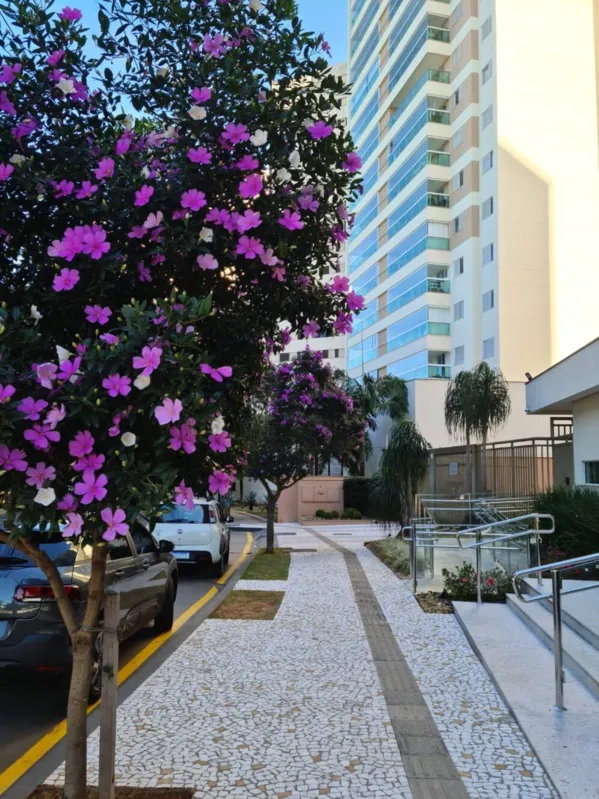 Imagem ilustrativa da imagem Flores para colorir o inverno em Londrina