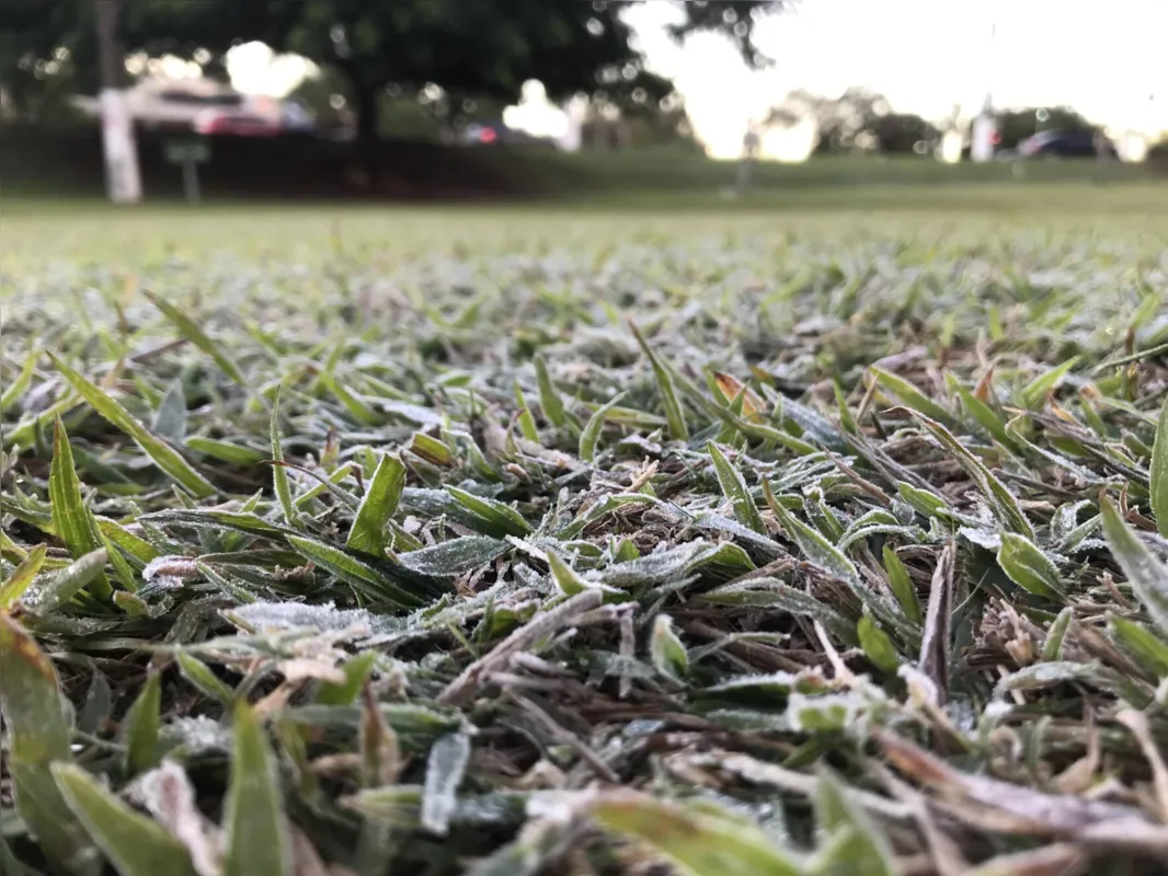 Imagem ilustrativa da imagem Frio intenso volta ao Paraná a partir de terça-feira