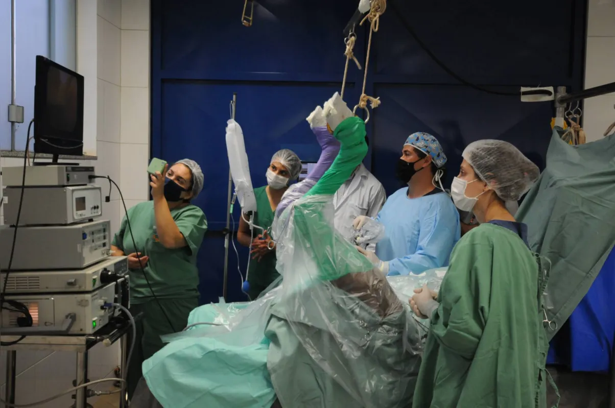 O tratamento utilizando células-tronco é um avanço na ciência médica animal; material foi trazido de São Paulo, coletadas por um laboratório que é parceiro da Unifil