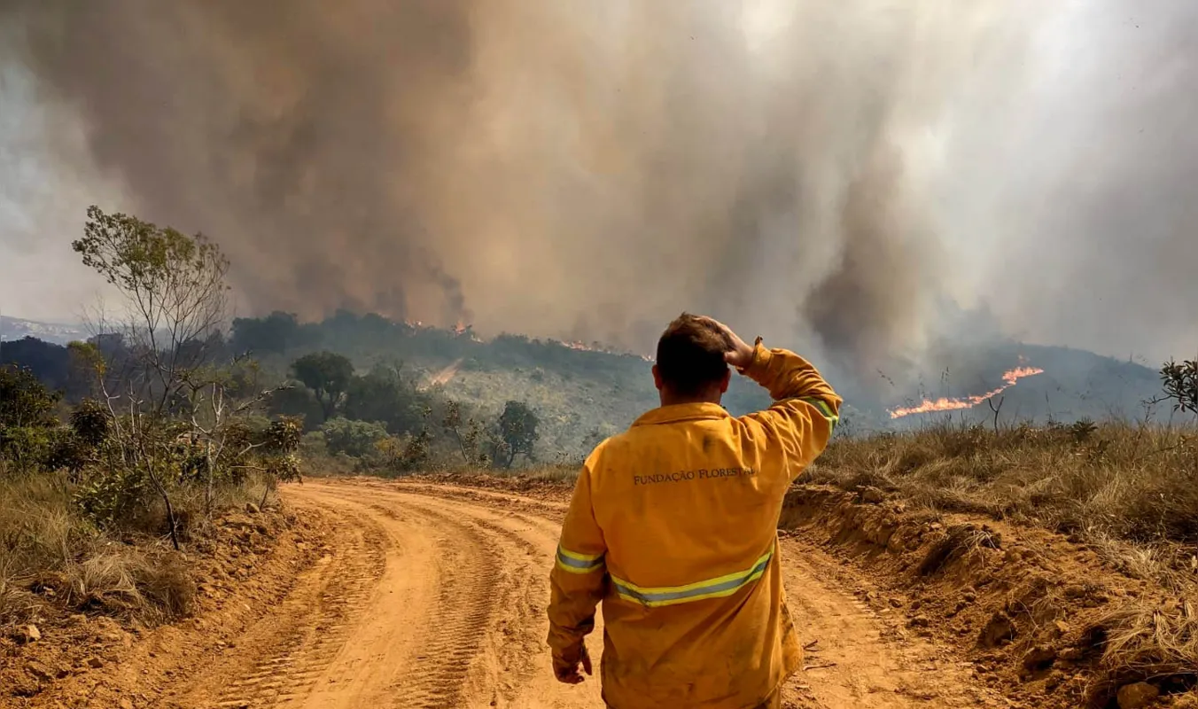 Mais de 240 pessoas foram mobilizadas para atuar no combate do fogo, com o apoio de viaturas terrestres, helicópteros e aviões
