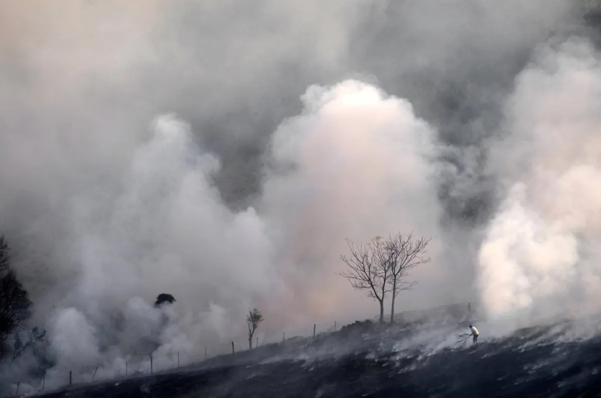 Imagem ilustrativa da imagem Incêndios ambientais aumentam 45% na região de Londrina