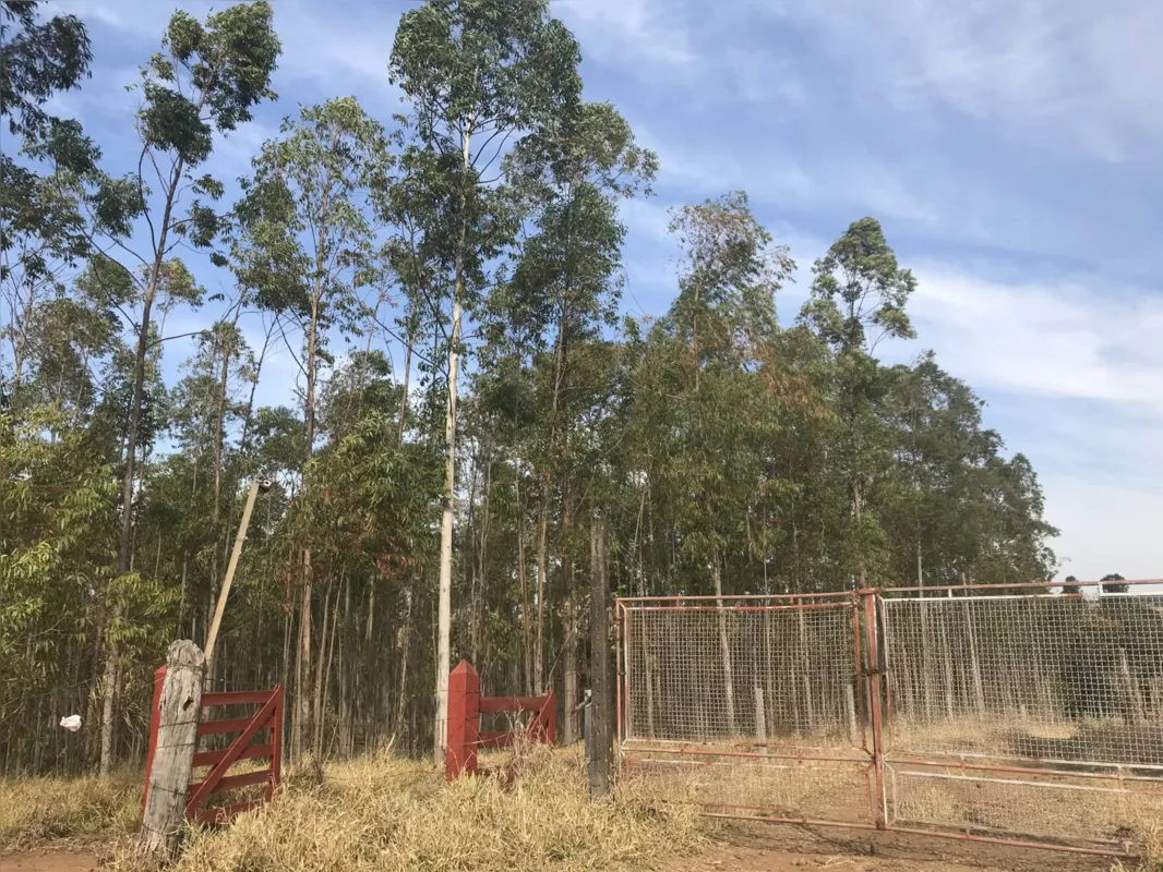 Sítio recém-adquirido em Nova América da Colina já tinha poço artesiano e casa