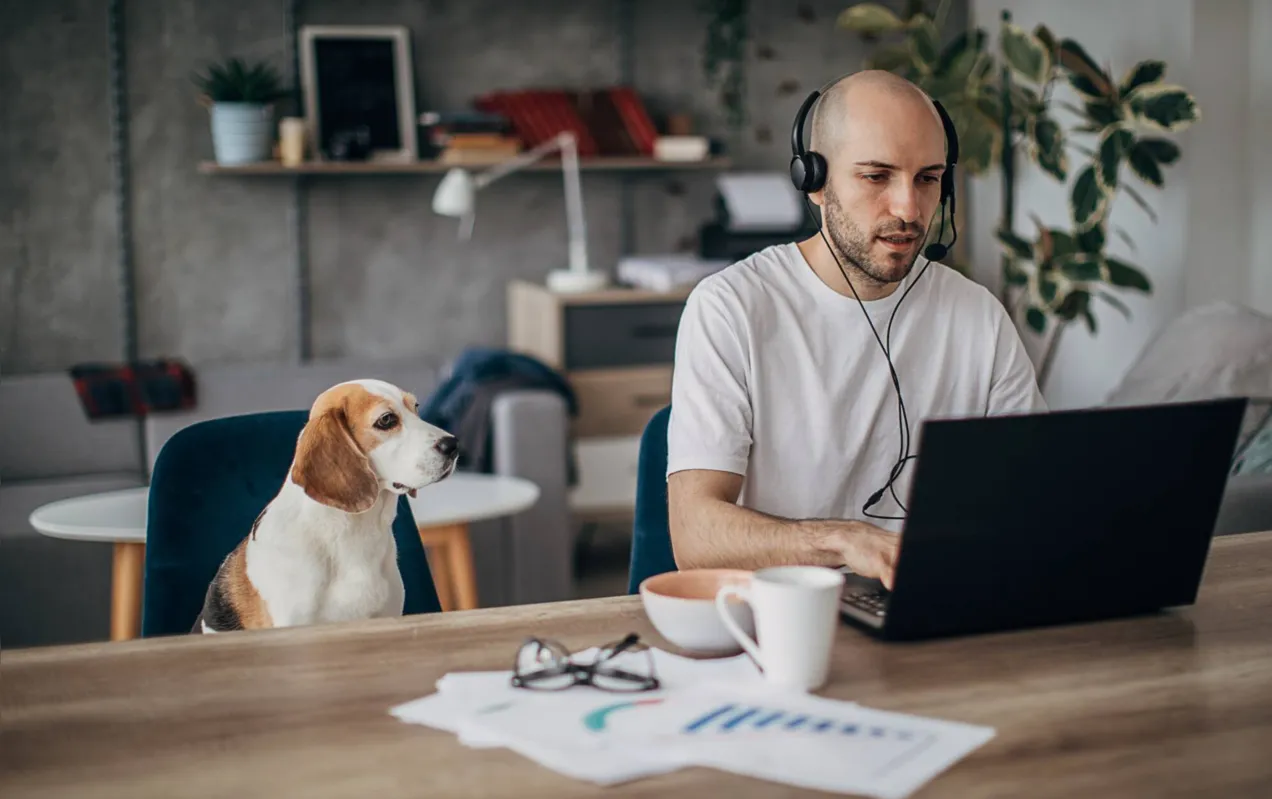Entre os funcionários públicos, a esfera federal teve 40,7% dos trabalhadores em regime de home office, enquanto a estadual, 37,1%, e a municipal, 21,9%