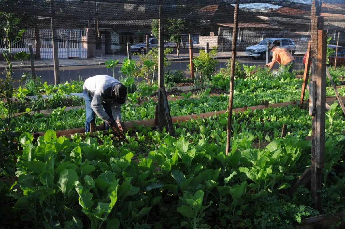 Área no Jardim Paraíso é responsabilidade de cinco famílias 