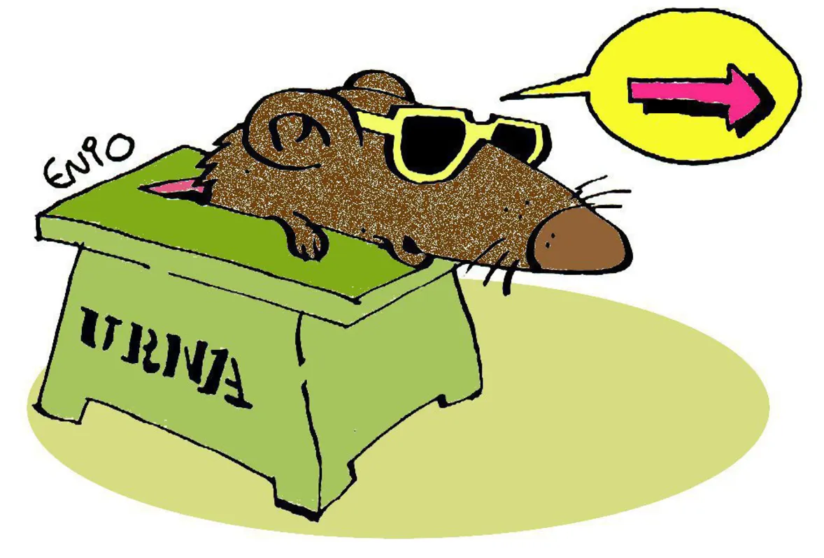 Imagem ilustrativa da imagem Média de mortes é a menor desde 5 de março