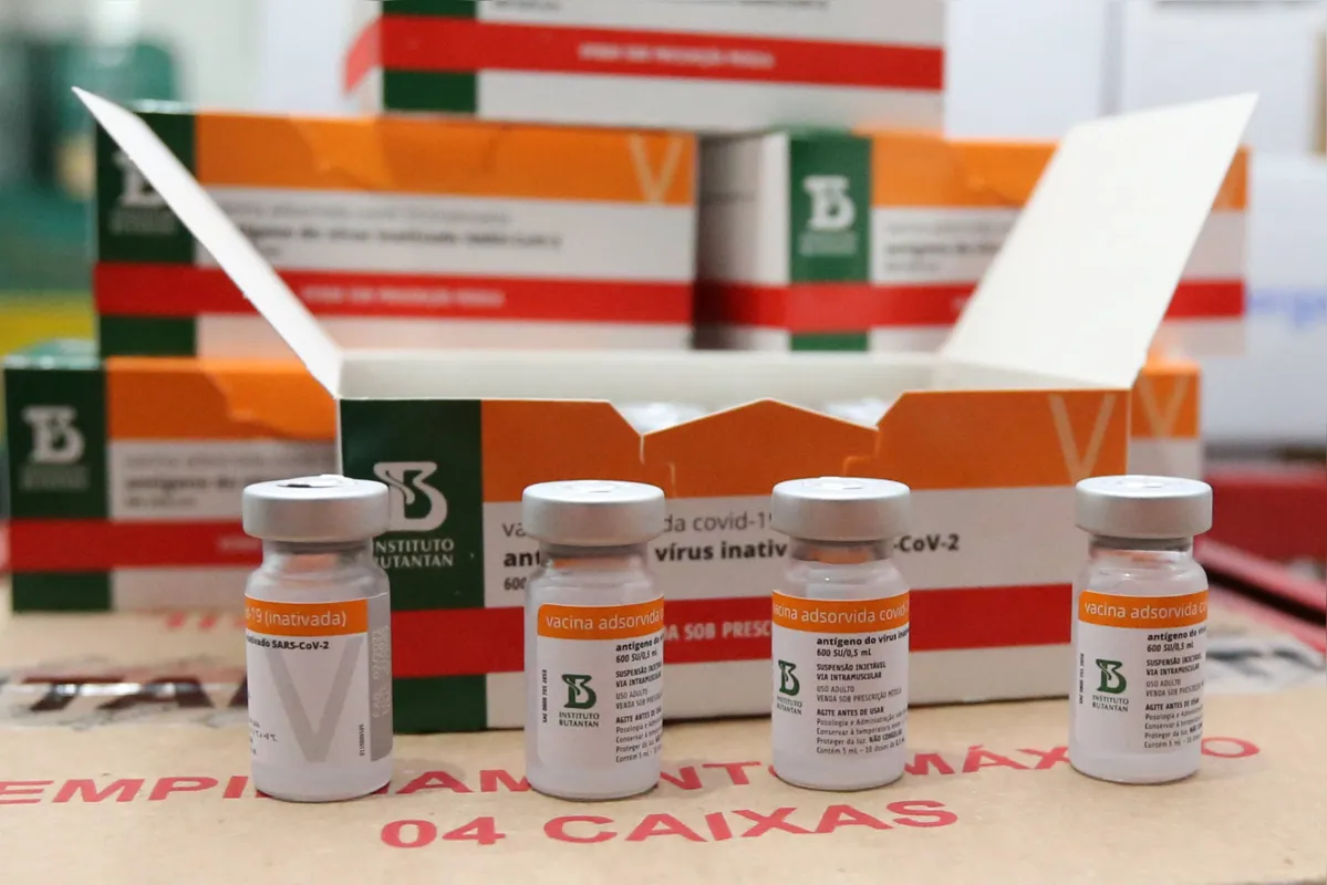 Imagem ilustrativa da imagem PR recebe mais 300 mil doses de vacina contra a Covid-19; novo lote chegou a Londrina neste domingo