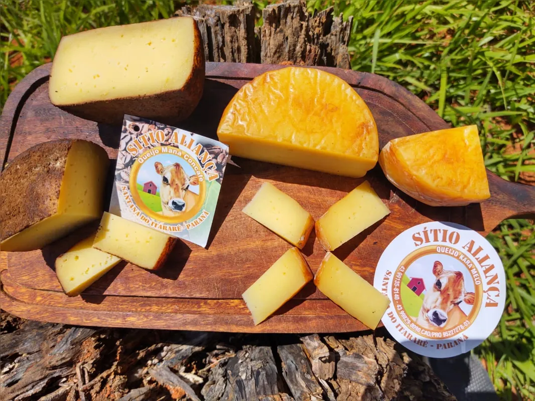 Alguns queijos produzidos no Sítio Aliança, em Santana do Itararé (PR)