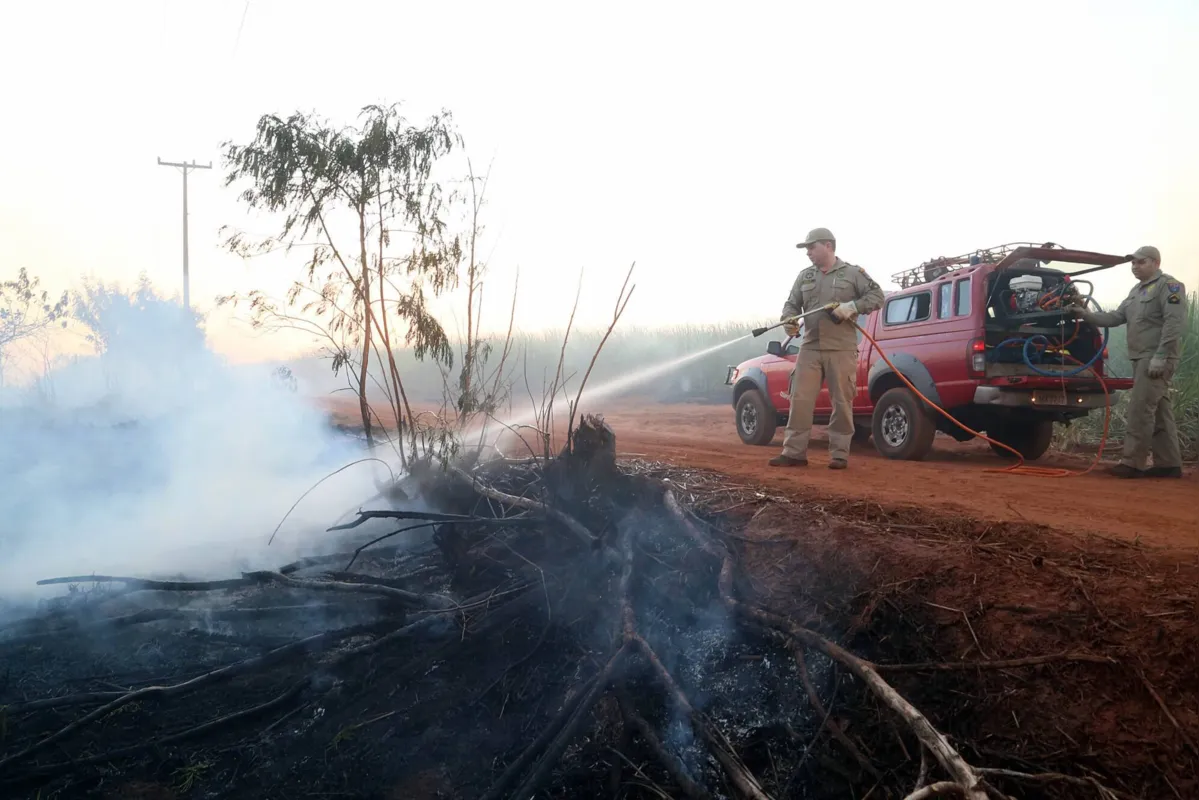 Nos  primeiros quatro meses de 2021, o Corpo de Bombeiros do Paraná registrou 2.760 casos de incêndios em vegetação nativa ou plantação.