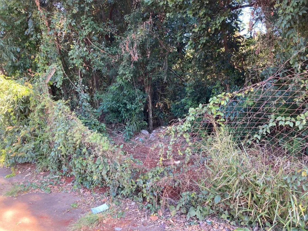 Imagem ilustrativa da imagem Parque Arthur Thomas: de cercas abertas para a criminalidade