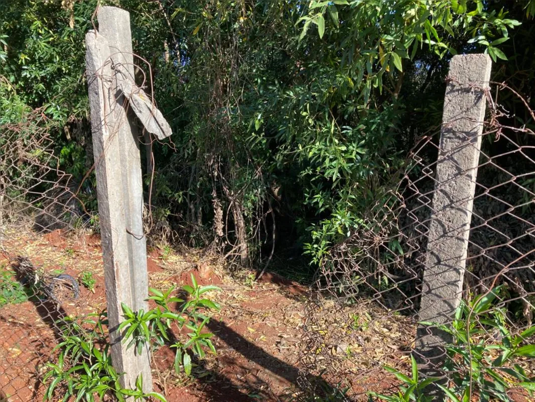 Imagem ilustrativa da imagem Parque Arthur Thomas: de cercas abertas para a criminalidade