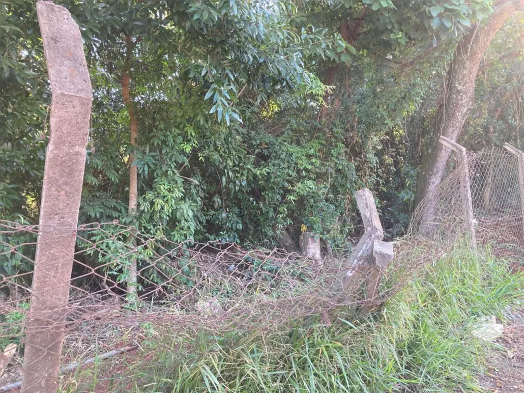 Imagem ilustrativa da imagem Parque Arthur Thomas: de cercas abertas para a criminalidade