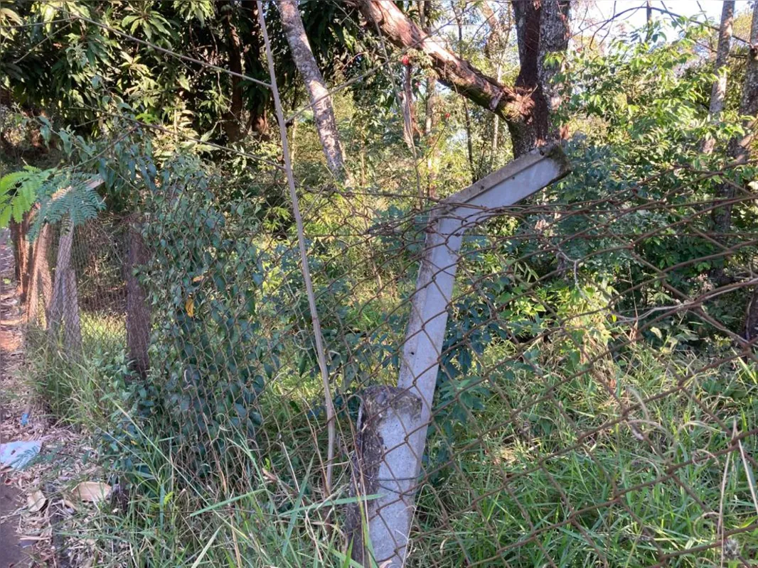Imagem ilustrativa da imagem Parque Arthur Thomas: de cercas abertas para a criminalidade