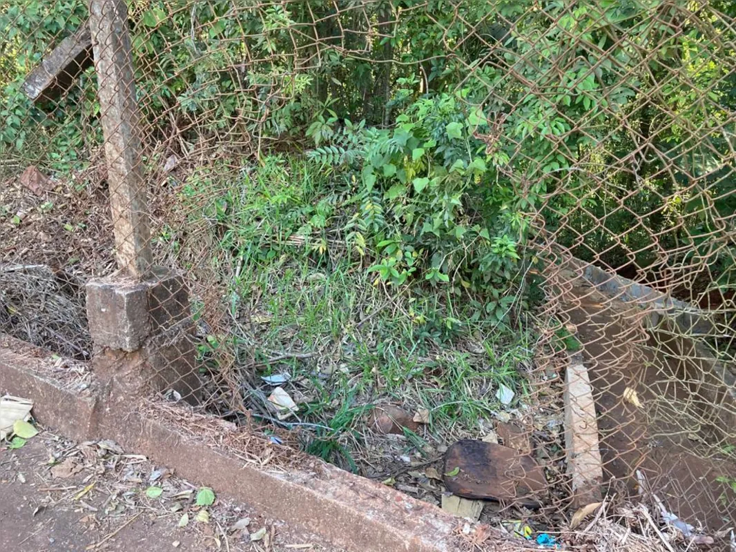 Imagem ilustrativa da imagem Parque Arthur Thomas: de cercas abertas para a criminalidade